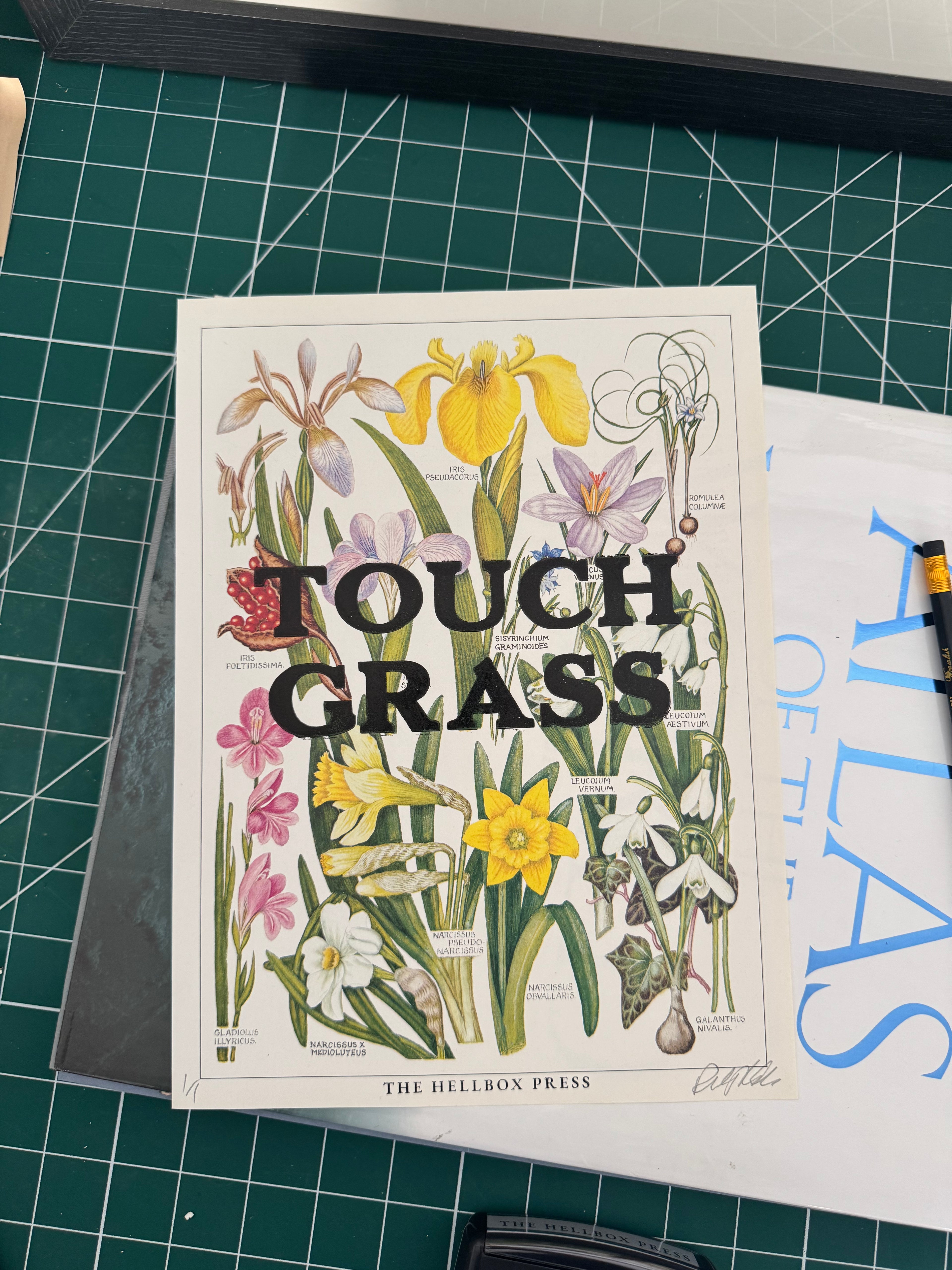 Touch Grass | New Concise British Floral Collection