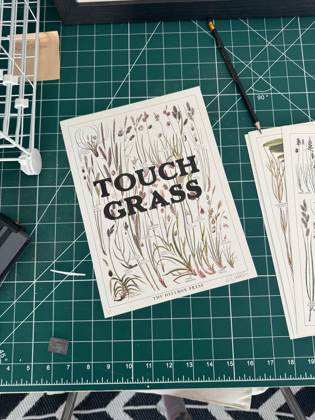 Touch Grass | New Concise British Floral Collection