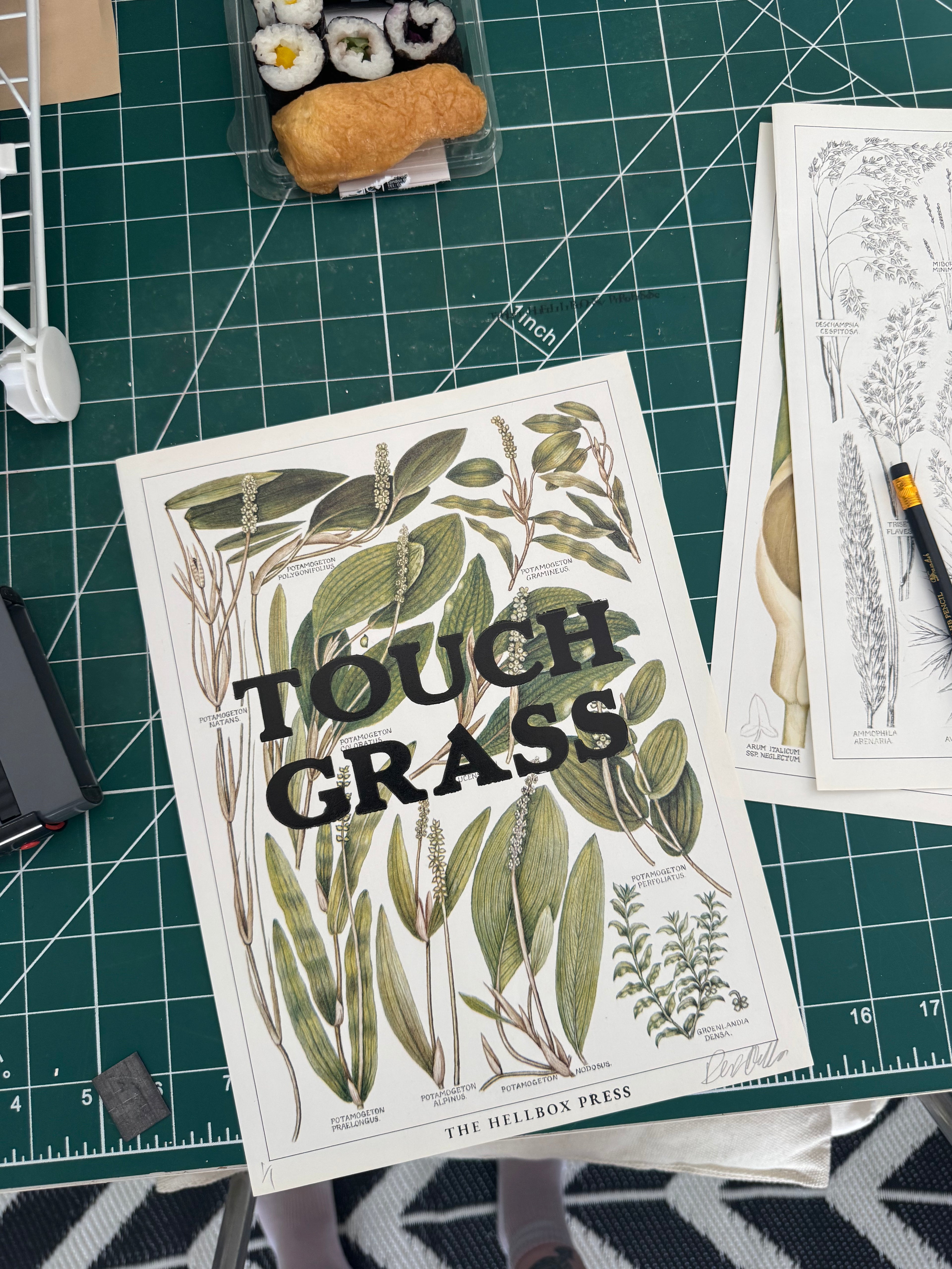Touch Grass | New Concise British Floral Collection