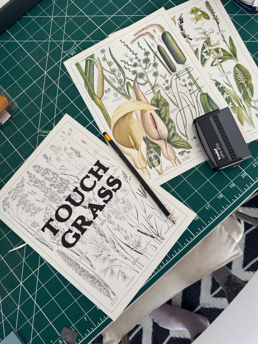 Touch Grass | New Concise British Floral Collection
