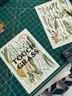 Touch Grass | New Concise British Floral Collection