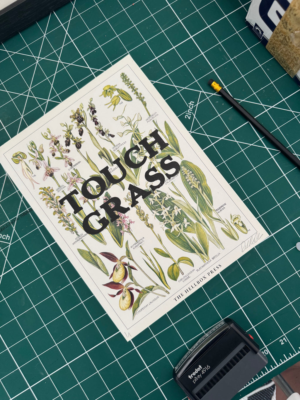 Touch Grass | New Concise British Floral Collection
