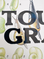 Touch Grass | Snail Collection