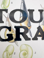 Touch Grass | Snail Collection