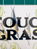 Touch Grass | Snail Collection