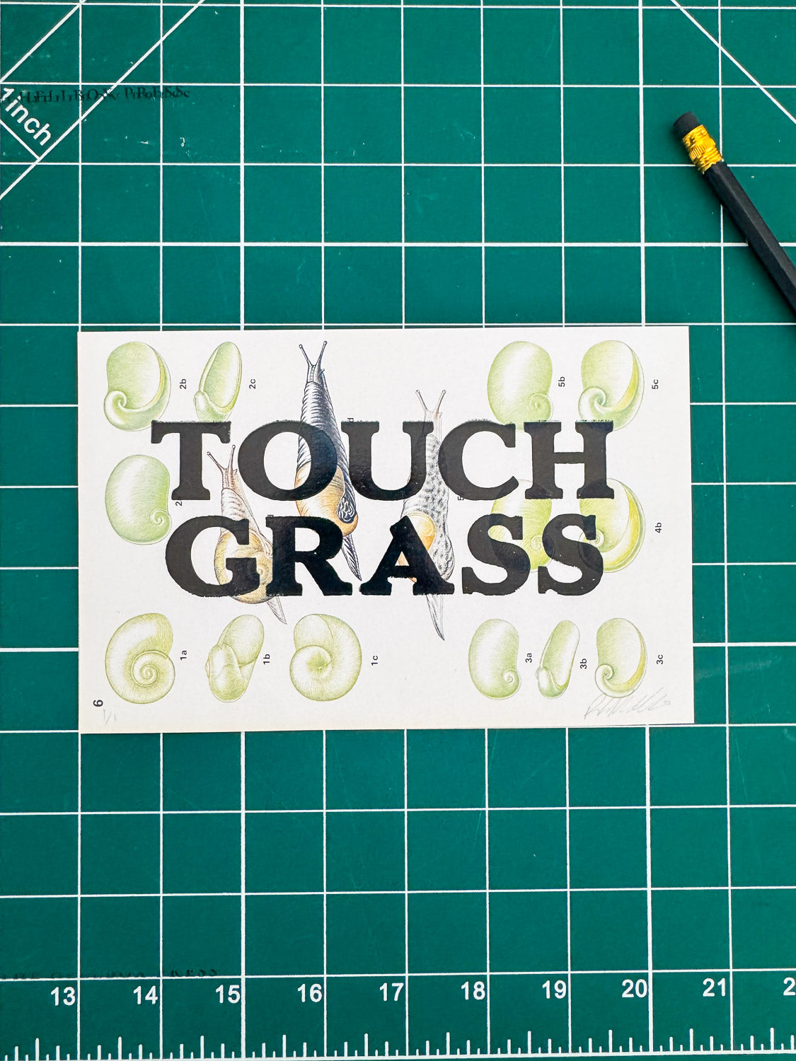 Touch Grass | Snail Collection