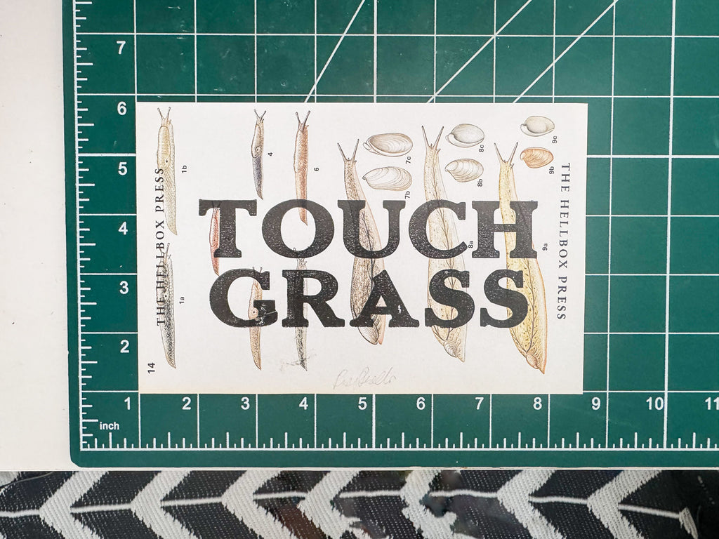 Touch Grass | Snail Collection